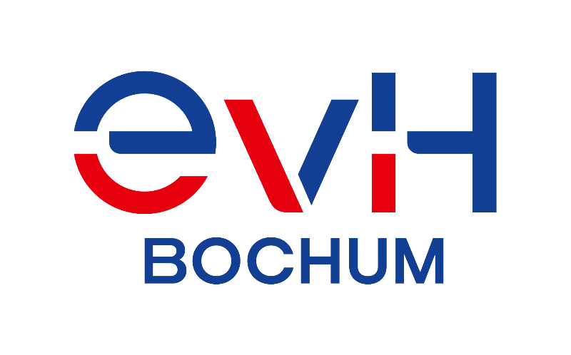 Management in sozialwirtschaftlichen und diakonischen Organisationen Logo